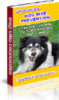 Thumbnail Dog Bite Prevention with mrr Thumbnail Dog Bite Prevention with mrr
