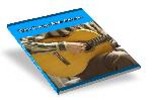 Thumbnail Teach Yourself Guitar - PLR