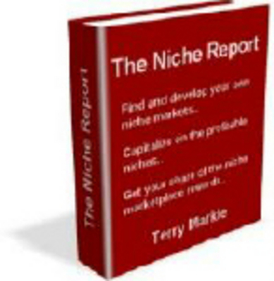 Product picture The Niche Report