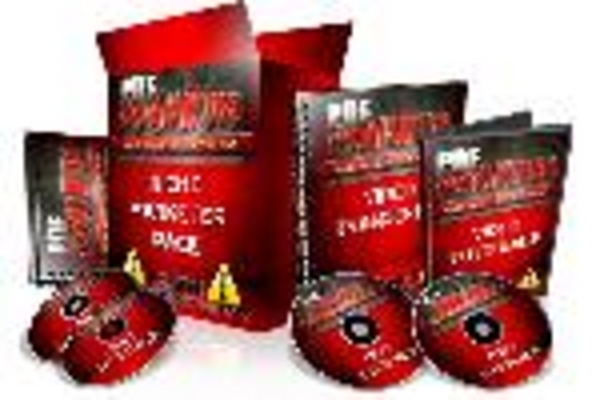 Product picture PDF Domination with master resel rights